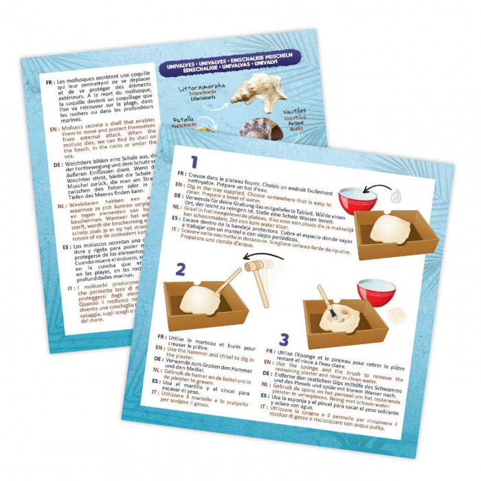 Kit de sapat Buki France Scoici [7]