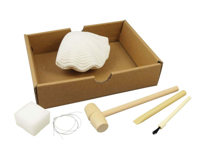 Kit de sapat Buki France Scoici [5]