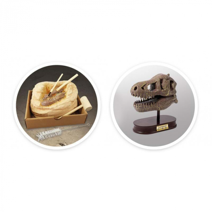 Kit de sapat - Craniu T-Rex [6]