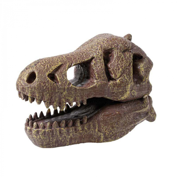 Kit de sapat - Craniu T-Rex [3]