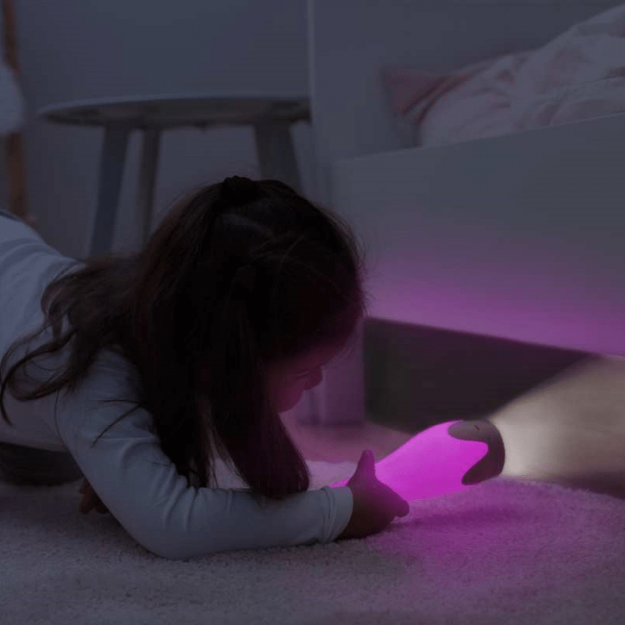 Lampa de Veghe Zazu Kids cu Lanterna Gina Gri [2]