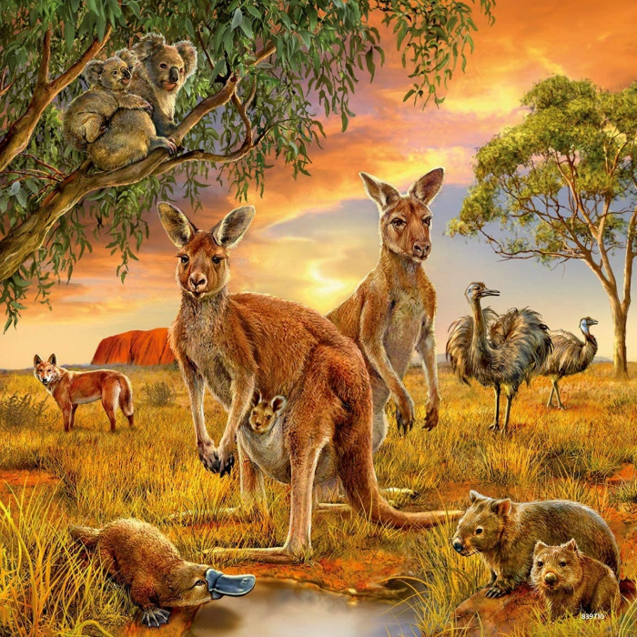 Puzzle Animalele Pamantului, 3X49 Piese [2]