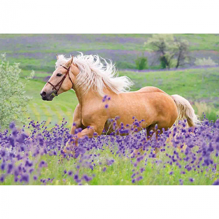 Puzzle Cai, 2X24 Piese [2]