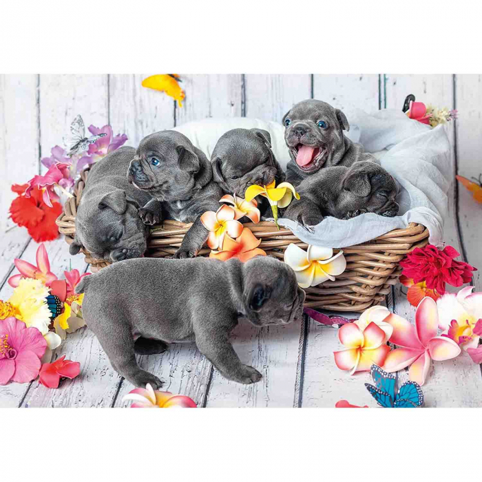 Puzzle Catelusi, 2X12 Piese [2]