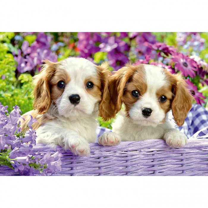 Puzzle Catelusi, 2X24 Piese [2]
