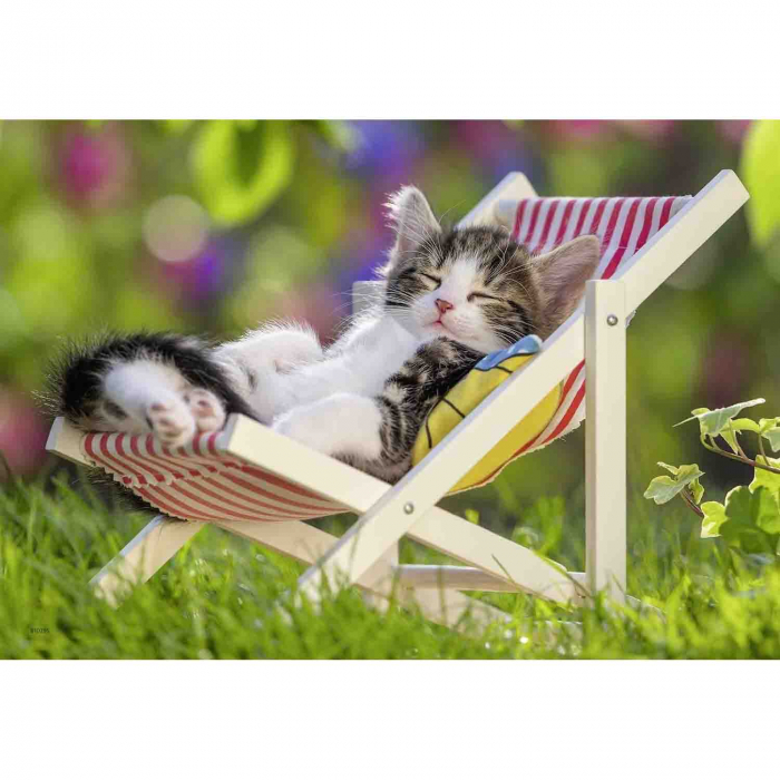 Puzzle Pisicute Somnoroase, 2X24 Piese [2]