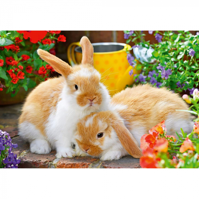 Puzzle Porcusor De Guinea Si Iepuras, 2X12 Piese [3]