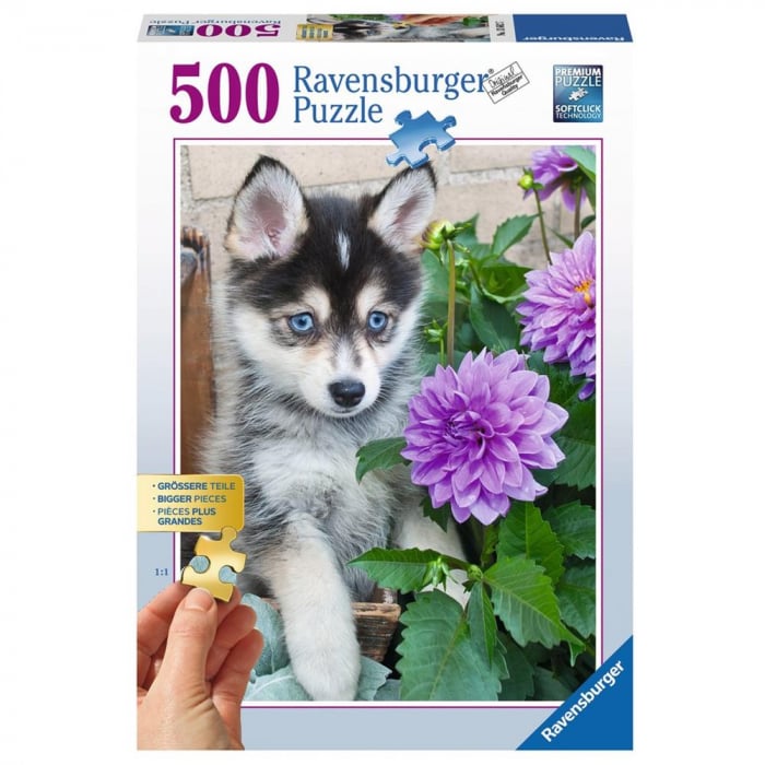 Puzzle Ravensburger Caine Husky [2]