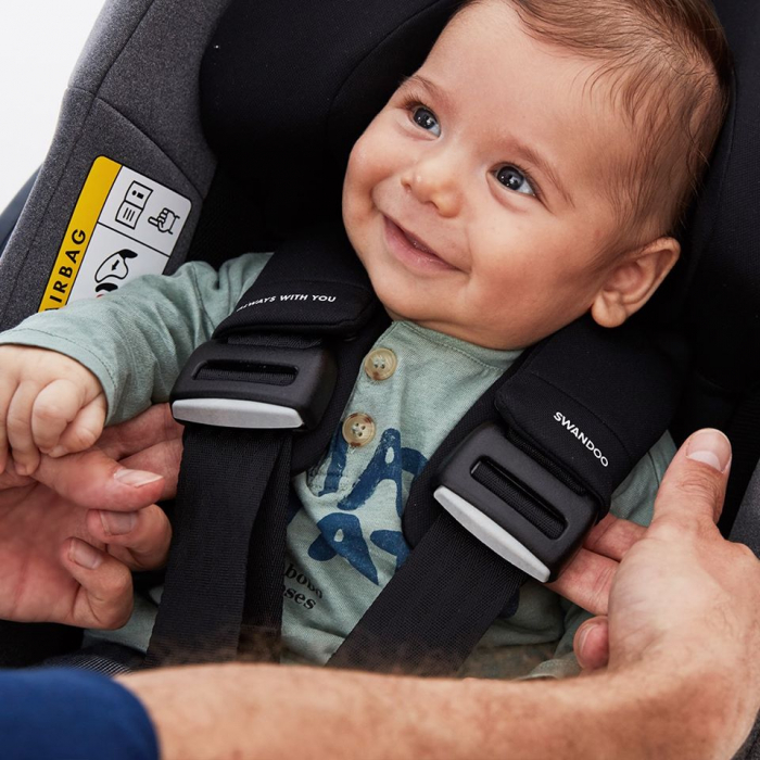 Scoica auto Swandoo Albert i-Size Green White [7]