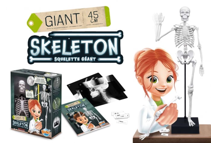 Schelet Gigant Buki France 45 cm [2]