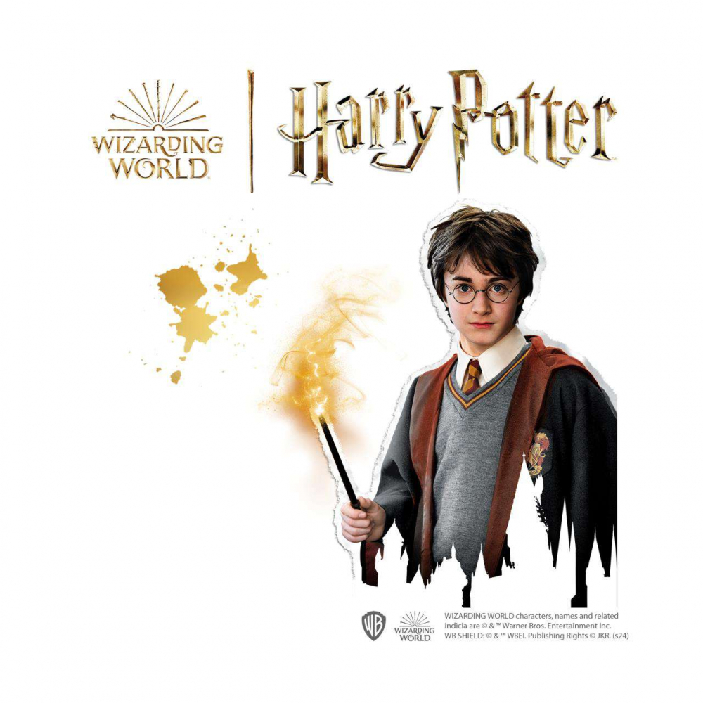 Set Beedz-Emblema Hogwards Harry Potter [4]