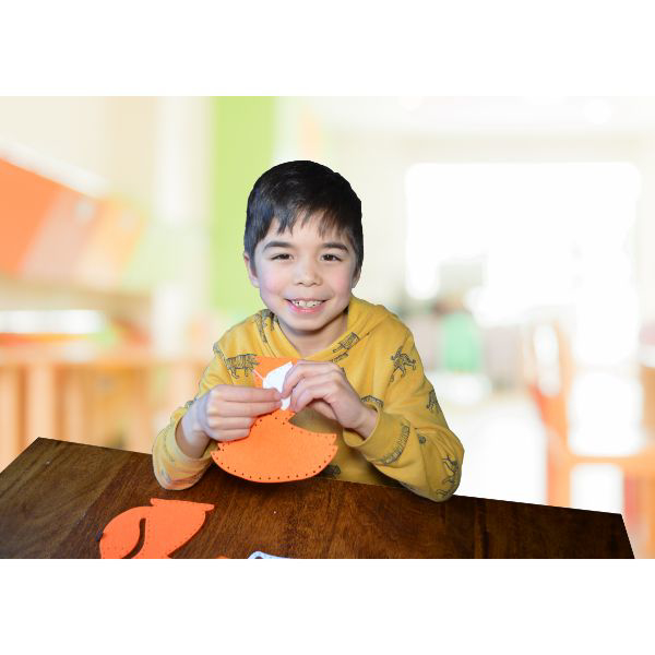 Set de cusut Buddy and Barney Lumea Animalelor [4]