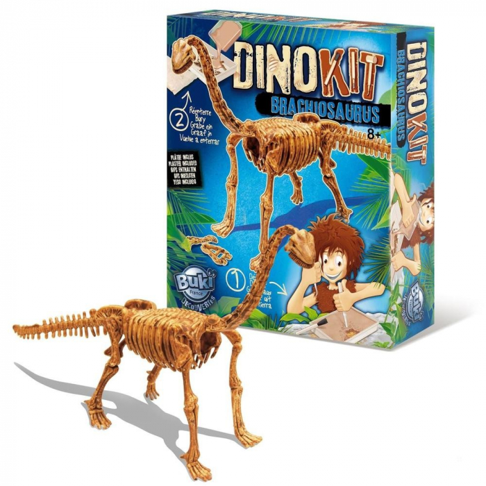 Set Educativ Buki France Dino Brachiosaurus