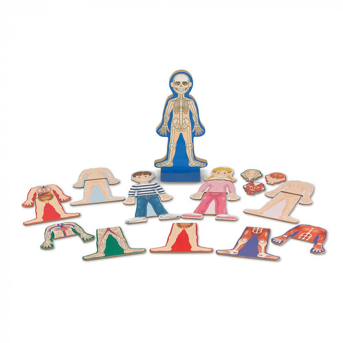 Set magnetic Corpul Uman Melissa and Doug [2]