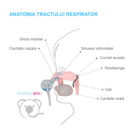 Aspirator nazal electric Nosiboo Pro2 Verde [3]