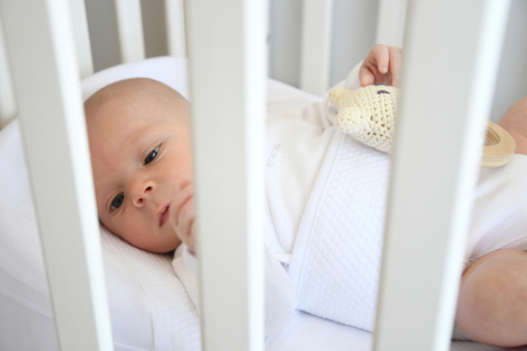 Baby nest ergonomic Red Castle Cocoonababy 10° Flori de Bumbac [2]