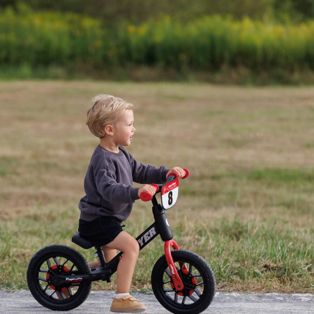 Balance bike Qplay Player Roz [7]