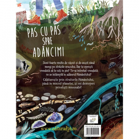 Carte DPH Pas cu pas spre adancimi [1]