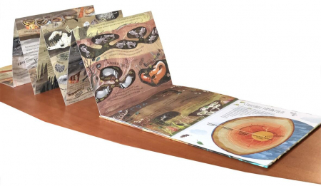 Carte DPH Pas cu pas spre adancimi [4]