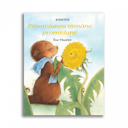 Carte DPH Promisiunea ramane promisiune [0]
