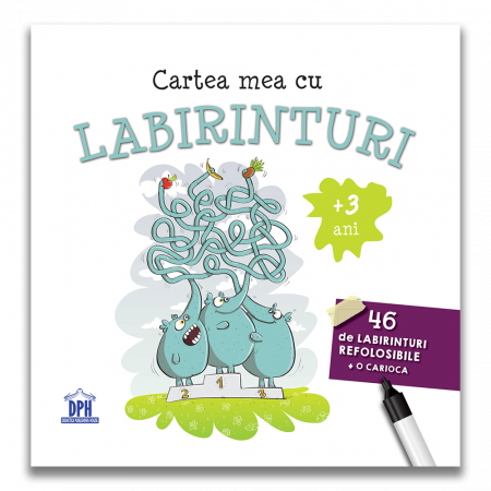 Carti pentru copii - Cartea mea DPH cu labirinturi