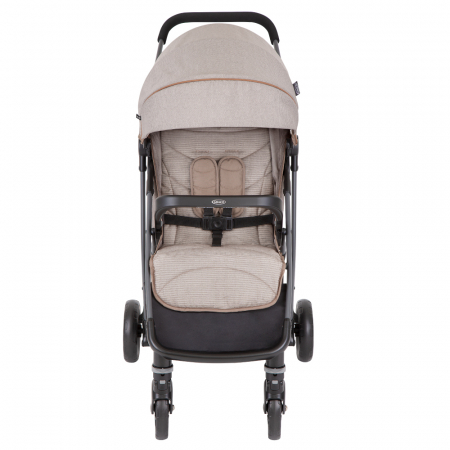 Carucior Graco Breaze Lite 2 Little Adventures [1]