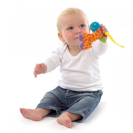 Carusel muzical Playgro cu proiector lumea junglei [3]