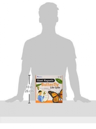 Ciclul vietii fluturelui - set magnetic [3]