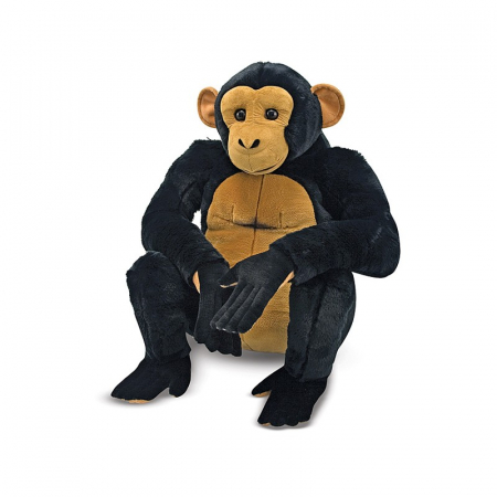 Cimpanzeu din plus [0]