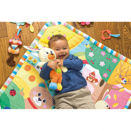 Jucarie de plus iepurasul Benny [2]