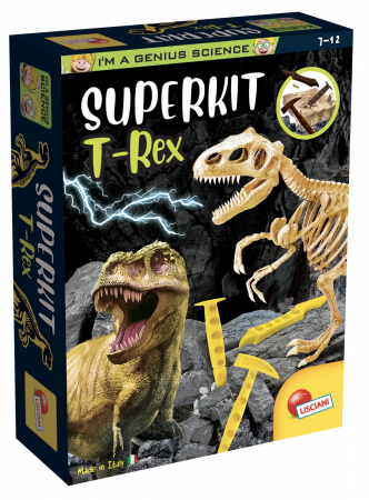 Jocuri educative - Aventura in lumea dinozaurilor - Descopera fosilele T-Rex