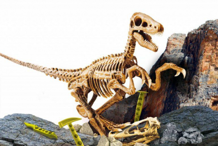 Descopera fosile – Kit Velociraptor pentru copii [1]