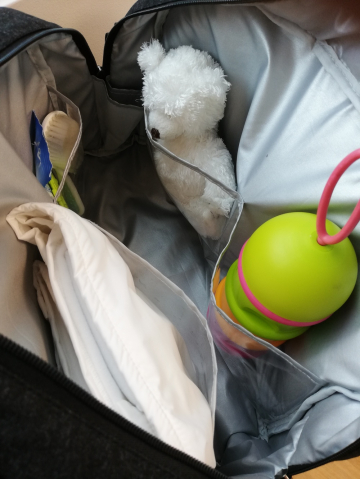 Geanta de infasat Baby On Board Titou Black [8]