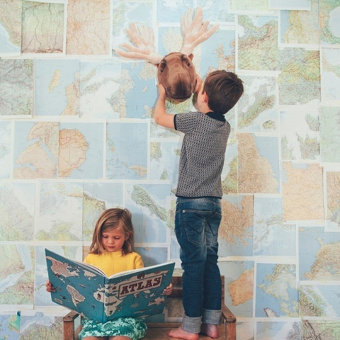 Decoratiune Cap de Elan - Alfred [3]