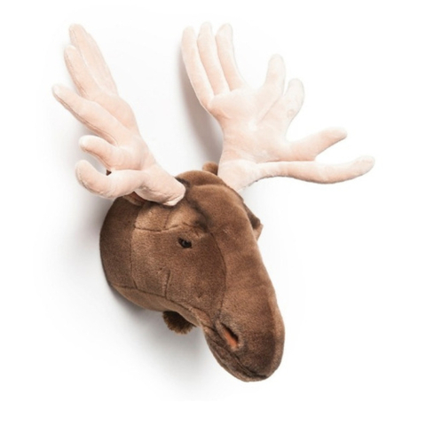 Decoratiuni - Decoratiune Cap de Elan - Alfred