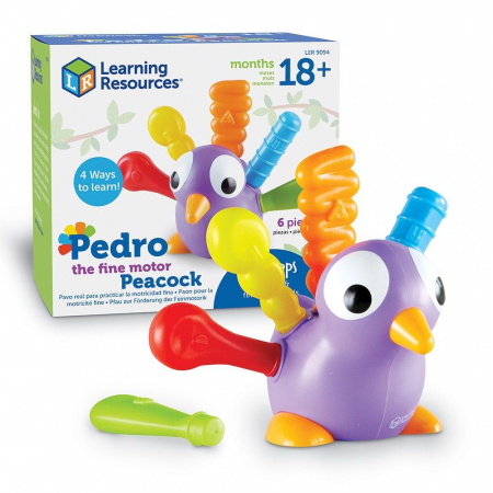 Seturi constructie copii - Joc de potrivire -  Paunul Pedro
