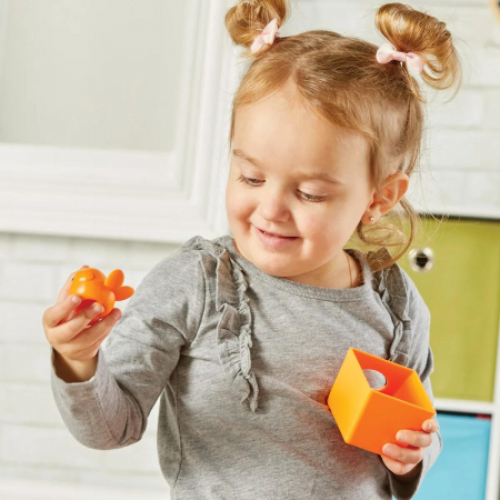 Joc de sortat si numarat - Casutele pasarelelor [3]