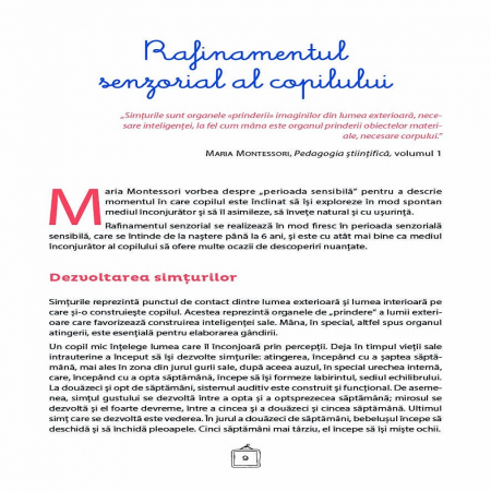 Joc DPH Explorez culorile cu Montessori 163 de jetoane [1]