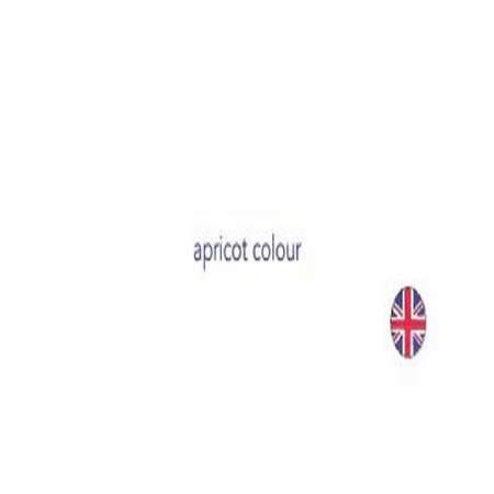 Joc DPH Explorez culorile cu Montessori 163 de jetoane [8]