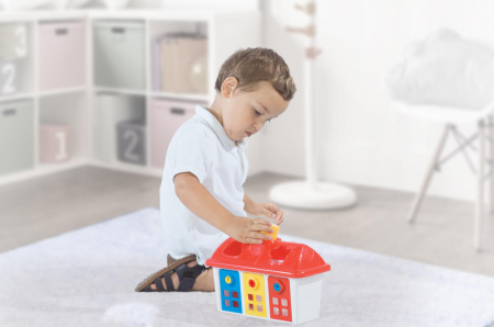 Joc sortare - Casuta colorata cu chei [2]