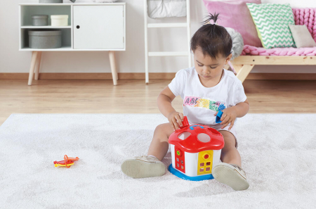 Joc sortare - Casuta vesela cu chei [2]