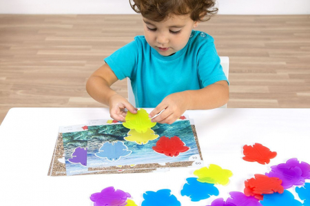 Joc Testoasele matematice translucide [2]