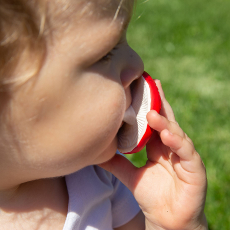 Jucarie dentitie Oli and Carol Ciupercuta Spotty [3]