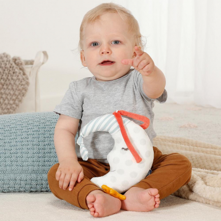 Jucarie muzicala - Luna somnoroasa [1]