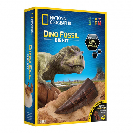 Jocuri educative - Kit Creativ National Geographic Sa Cautam Dinozauri