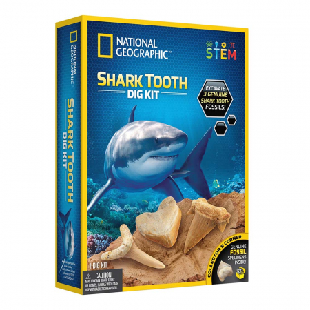 Jocuri educative - Kit Creativ National Geographic Sa Cautam Dinti De Rechini