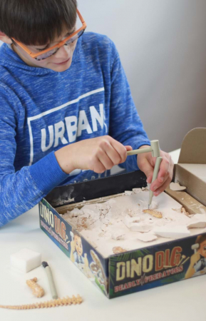 Kit de sapat Buki France Dinozaur [15]