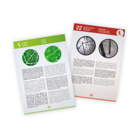 Microscop Buki France Video 3 in 1 [3]