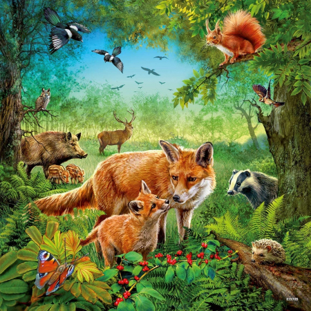 Puzzle Animalele Pamantului, 3X49 Piese [2]