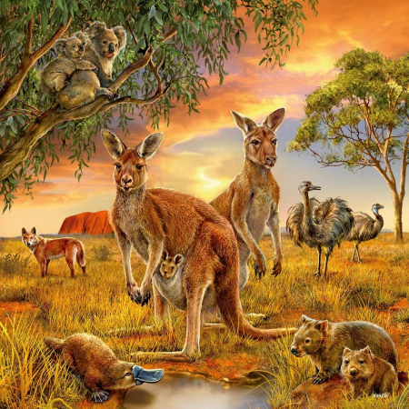 Puzzle Animalele Pamantului, 3X49 Piese [1]
